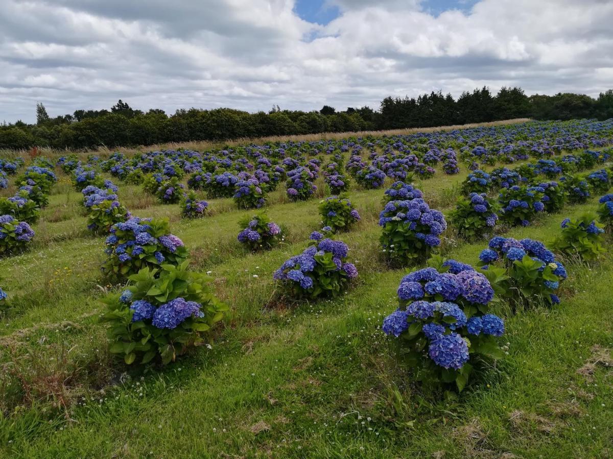 Bnb La Neo Bretonne Minihy-Treguier Luaran gambar